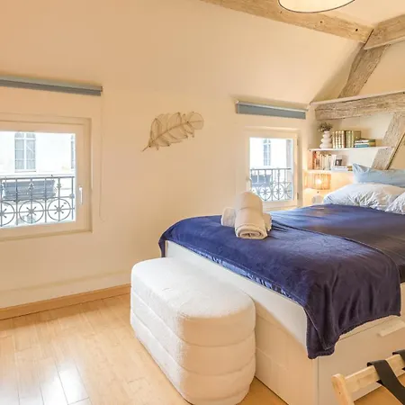 Lägenhet L'instant Cathedrale 3 - Hypercentre - 4 Personnes Troyes