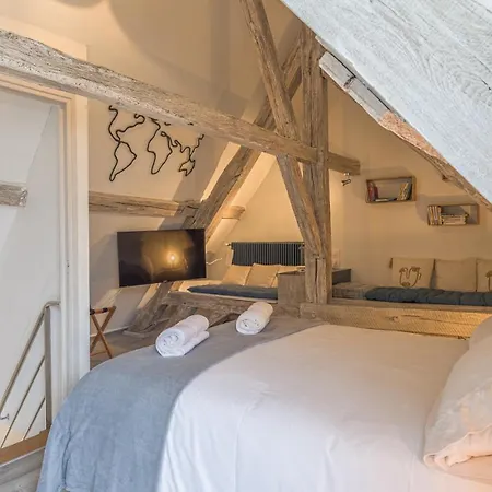 Apartament L'instant Cathedrale 3 - Hypercentre - 4 Personnes Troyes